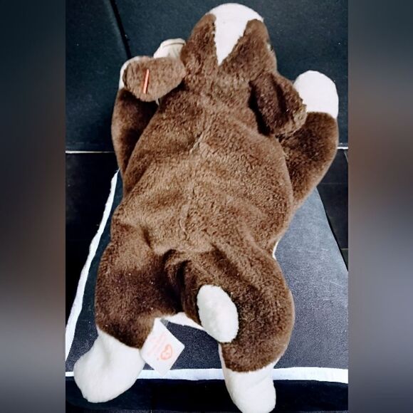 TY "BRUNO" Bull Terrier Dog with TAG AS COLLECTABLE! VINTAGE 1997 PERFECT! - Picture 7 of 11